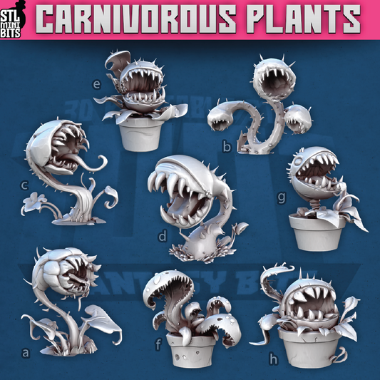 Carnivorous Plants | Monster Miniature | 3D Resin Print