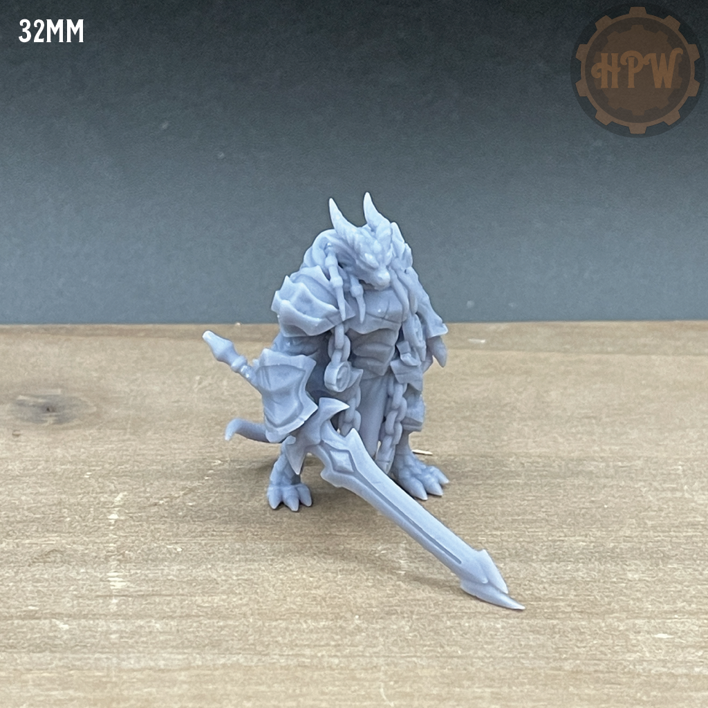 Dragonborn Paladin | Armored Miniature | Velrock Art | Company of Dragons 2 | DnD | Pathfinder | RPGs