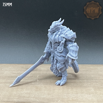 Dragonborn Paladin | 3D Resin Print