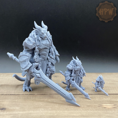 Dragonborn Paladin | 3D Resin Print